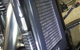 HARLEY FLBS 1870 2019