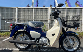 HONDA  SUPER CUB 110 PRO LITE JA77