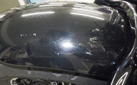 HARLEY XL1200X 2019