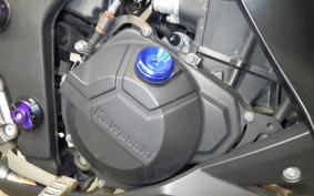 KAWASAKI Z250 2008 ER250C
