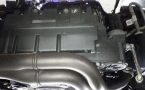 INDIAN FTR1200 carbon 2023