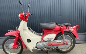 HONDA LITTLE CUB C50