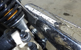 OTHER +ENFIELD INT650 2024