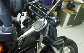HARLEY RH975S 2024