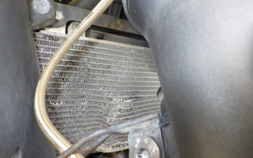 KAWASAKI NINJA 250 EX250L