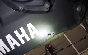 YAMAHA YZF-R25 2004 RG43J