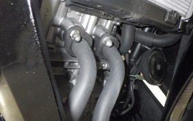 HONDA CBR250RR A 2023 MC51