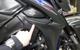 SUZUKI GSX-S1000 2019 GT79B