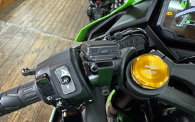 KAWASAKI NINJA ZX-4RR KRT ED 2025