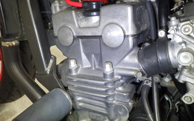 HONDA HORNET 250 2001 MC31