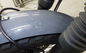 OTHER +MUTTｻﾊﾞｽ250