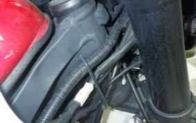 KAWASAKI KLX250D TRACKER X 2025 LX250V