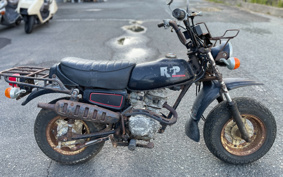HONDA R&P CY50