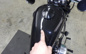 OTHER THUNDER 250 2011