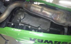 KAWASAKI NINJA 250 2009 EX250L