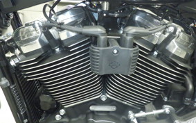 HARLEY FXBB1920 2025