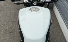 HARLEY X350 2024 W3C