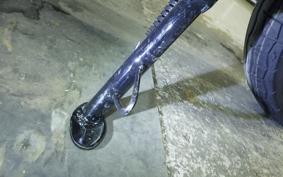 KAWASAKI W230 2024 BJ230A