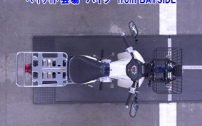OTHER C110PU LOW 3