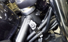 KAWASAKI NINJA 400 2020 EX400G
