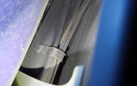 HONDA TACT-4ﾍﾞｰｼｯｸ AF79