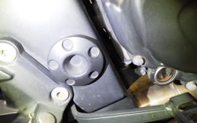 KAWASAKI NINJA 250R 2009 EX250K