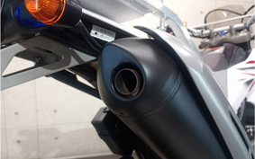 YAMAHA WR250X DG15J
