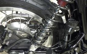 KAWASAKI W800 2022 EJ800E