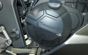 KAWASAKI Z250 A 2021 ER250C