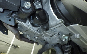 HONDA FORZA 250 2025 MF15