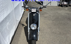 YAMAHA VOX
