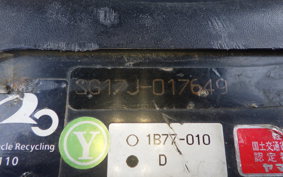 YAMAHA MAXAM 250 SG17J