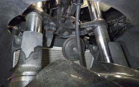 KAWASAKI NINJA 250R 2011 EX250K
