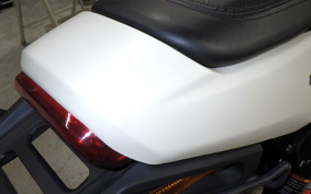 HARLEY XG750 STREET ROD 2020