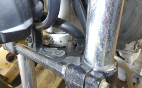 YAMAHA TRICKER DG10J
