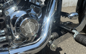 HARLEY FXCWC 2008 JK5