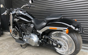 HARLEY  HARLEY FLFBS 2018 YGK