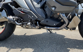 BMW R1300R 2025 0M51