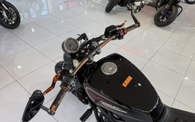 HARLEY X350 2024 W3C