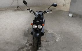 HONDA ZUMAR AF58