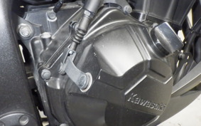 KAWASAKI Z250 2007 ER250C