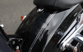 HARLEY HARLEY XL1200C 2010 CT3