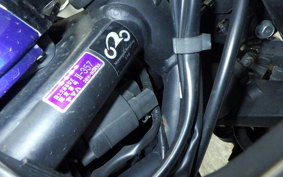 YAMAHA YZF-R25 RG43J