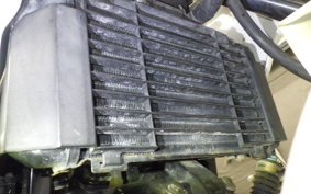 HONDA VT250FG 2026 MC15