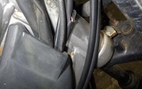 YAMAHA TRICKER DG10J