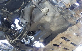 HONDA ELSINORE 250 MT250