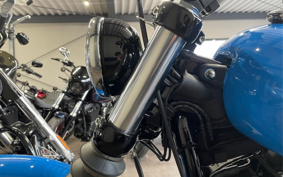 HARLEY FXBBS 2022 YYK