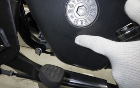 OTHER +ENFIELD SUPER ﾒﾃｵ650 2023