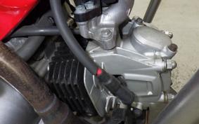 HONDA CT125 HUNTER CUB 2019 JA55
