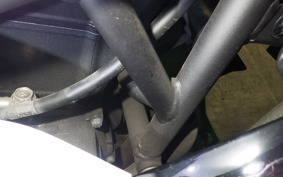 KAWASAKI NINJA 250 SL BX250A